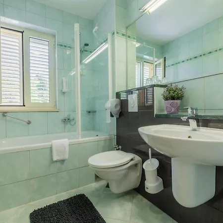 Apartel Park Osejava 4*