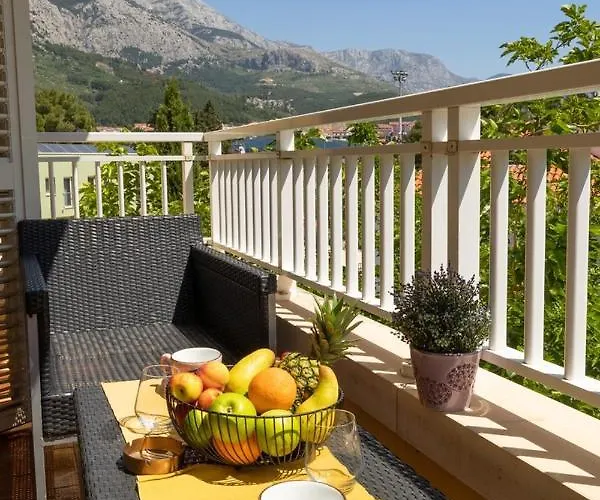 Apartel Park Osejava 4*