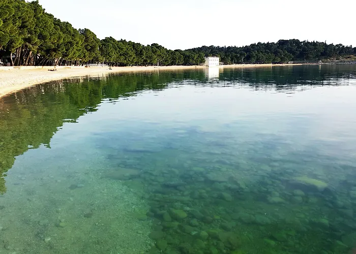 Πανσιόν Apartel Park Osejava 4*